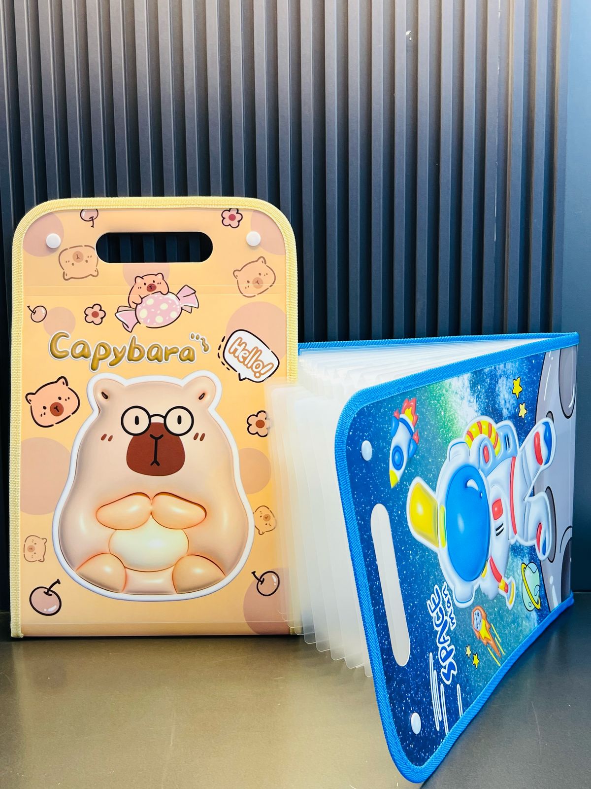 Piano File 12-Pocket Document Folder