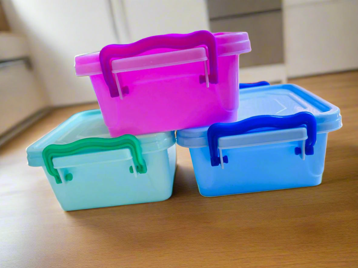 Mini Lunch Box ( Pack of 6 )