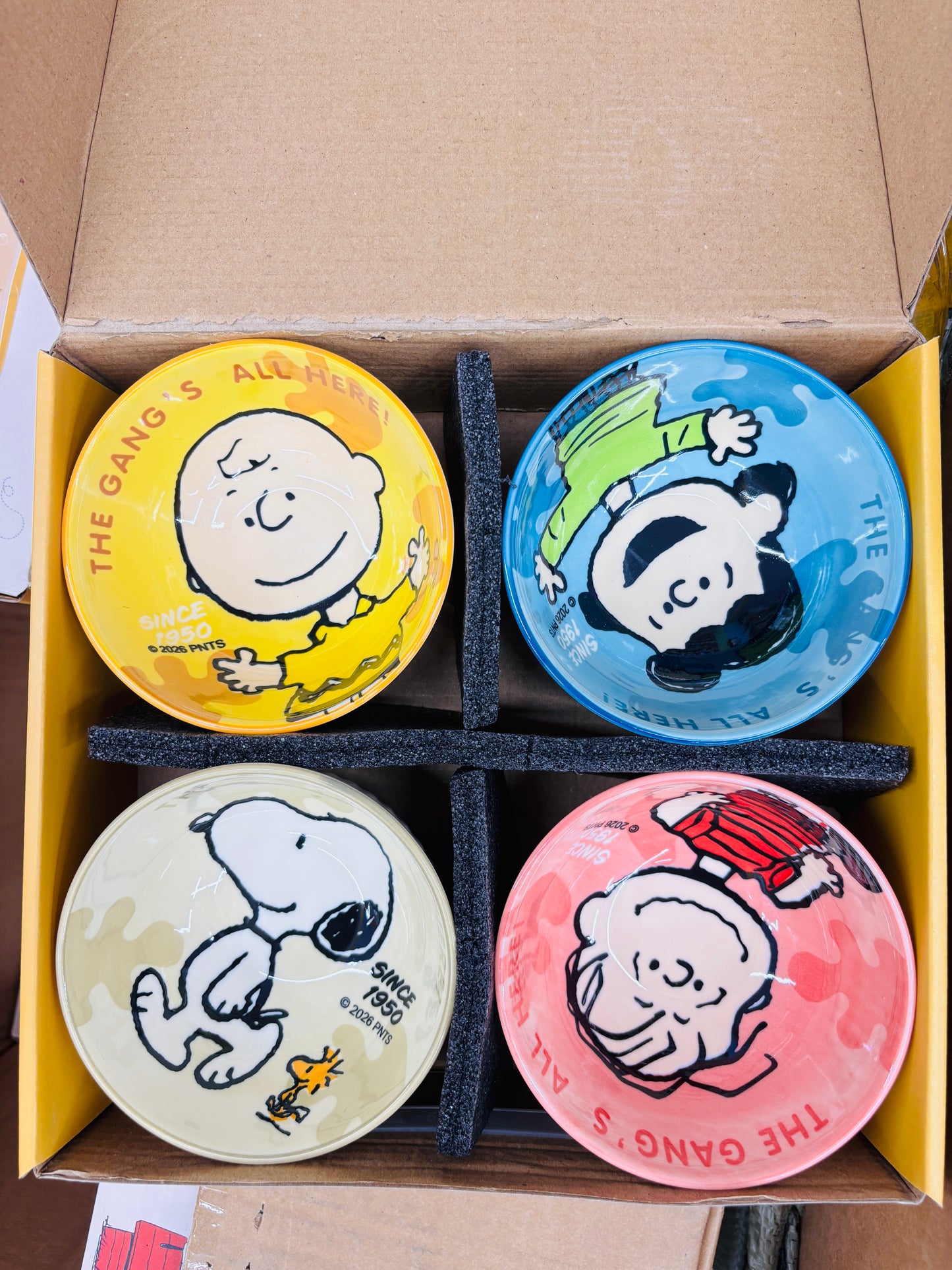 Snoopy Ceramic Bowl Set