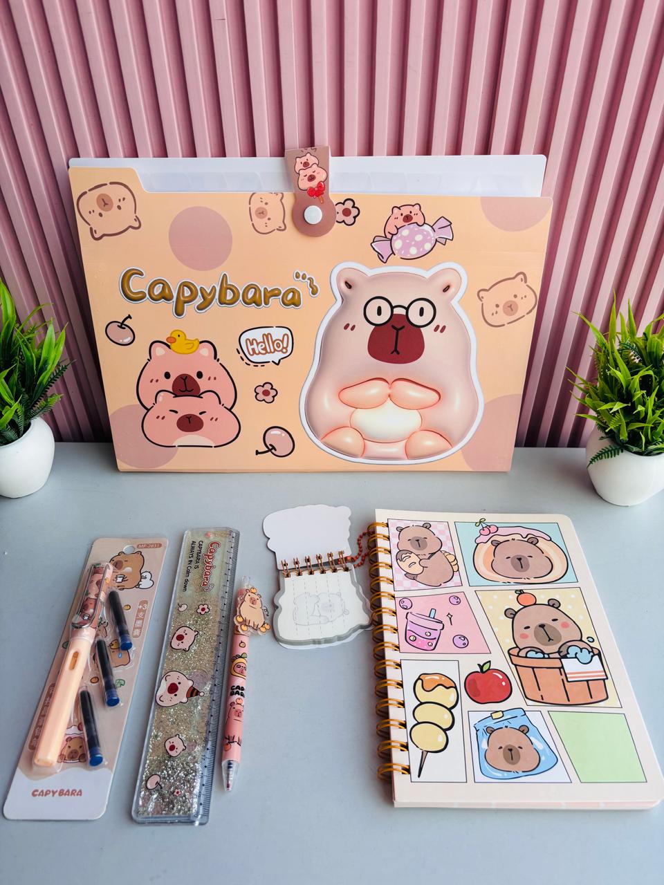 Capybara File Folder Gift Hamper