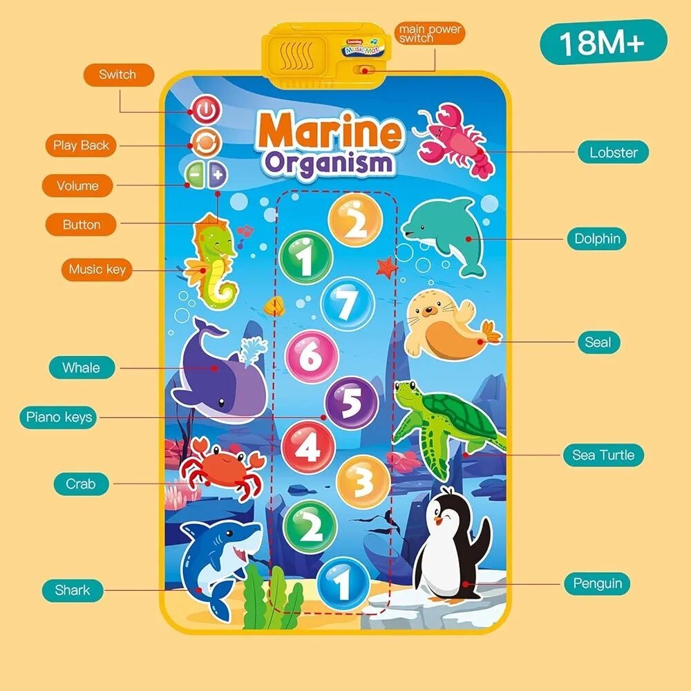 Marine Musical Mat