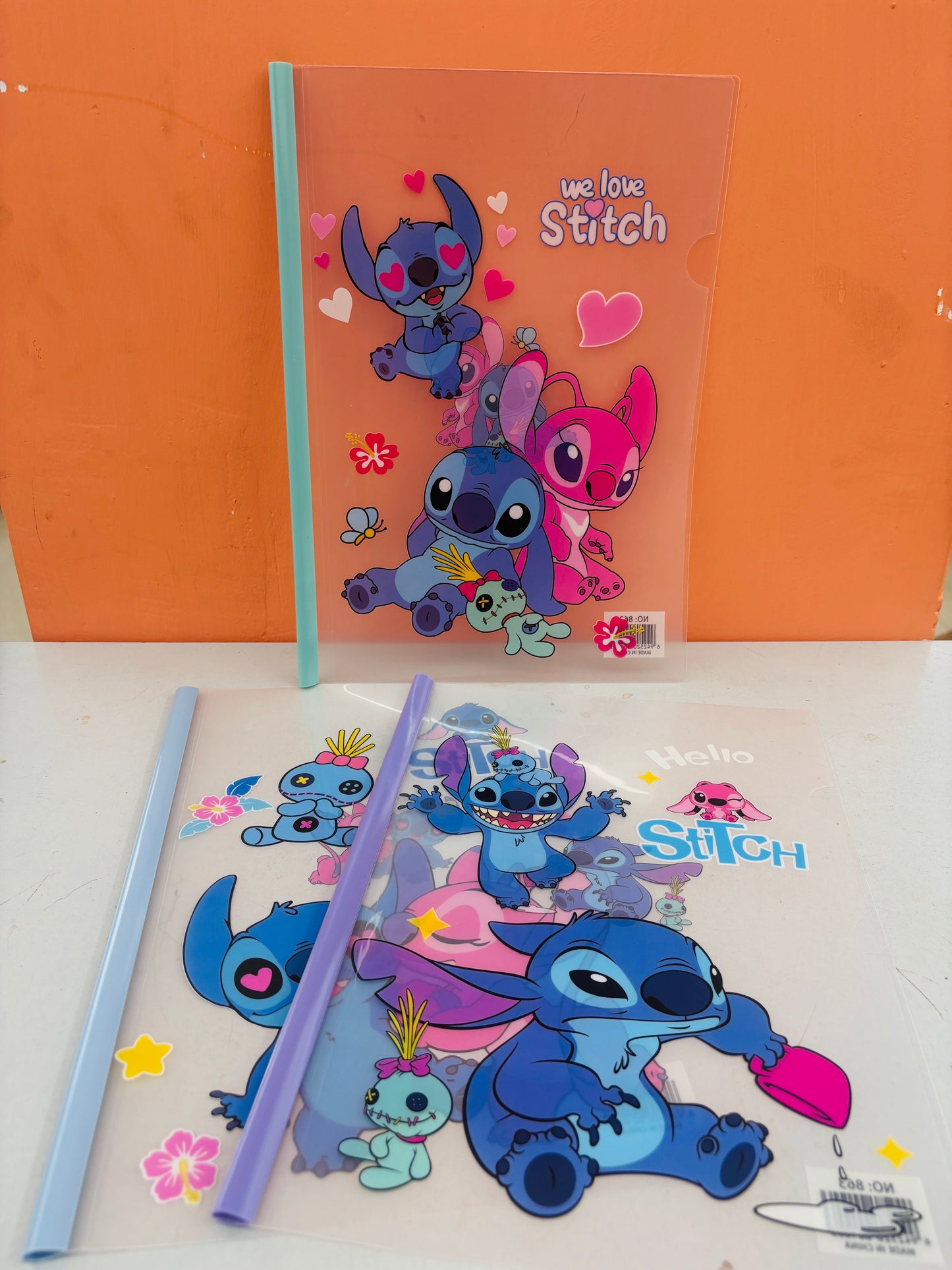 A4 PVC file folder