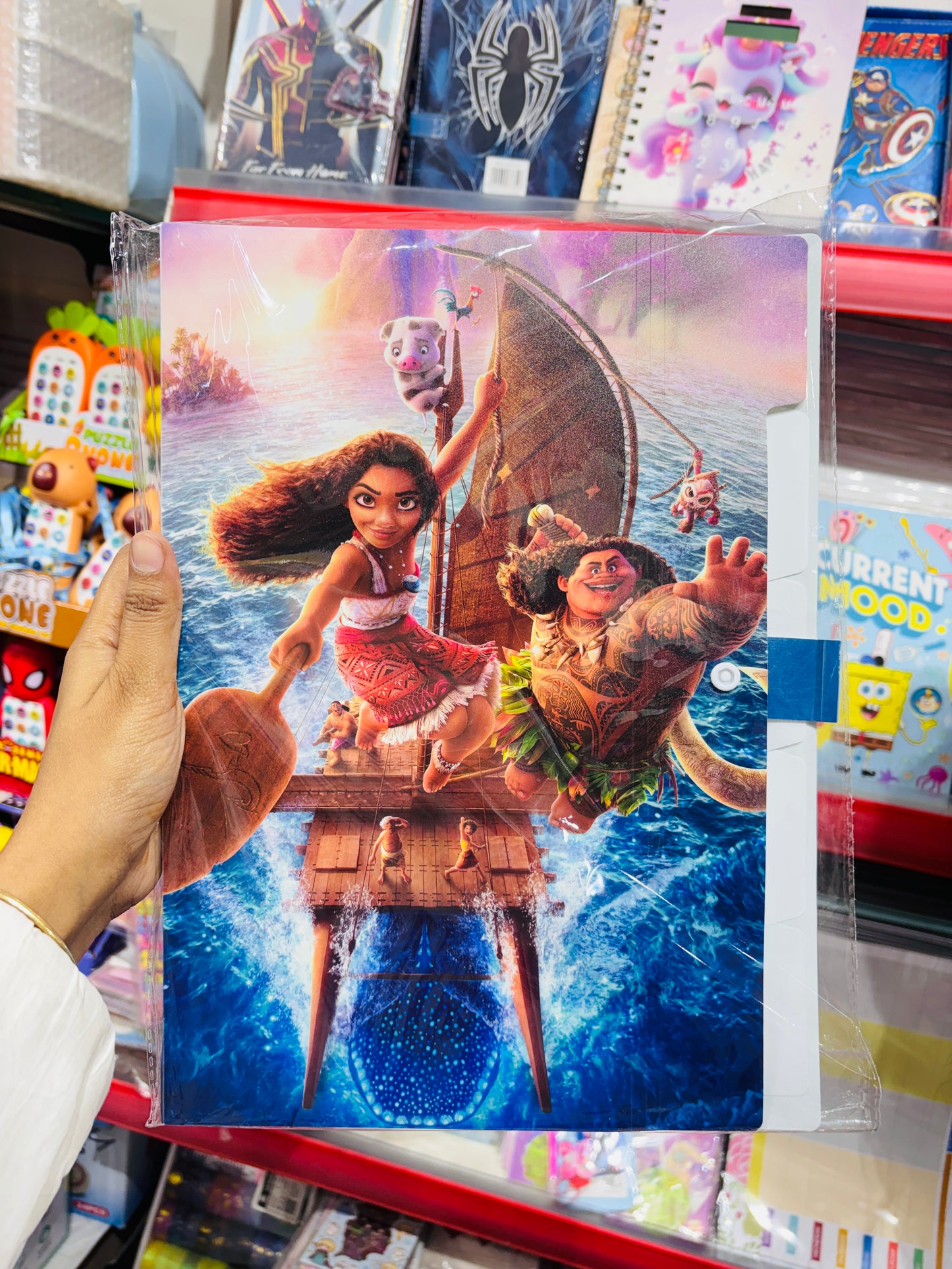 Folder With Multiple Sleeves