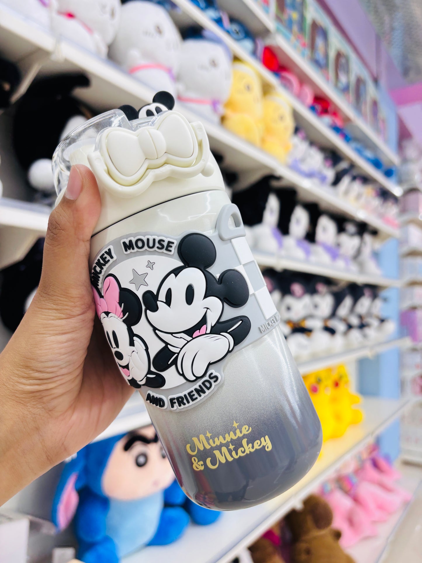 Kawaii Insulated Dual Sipper Water Bottel 500ml