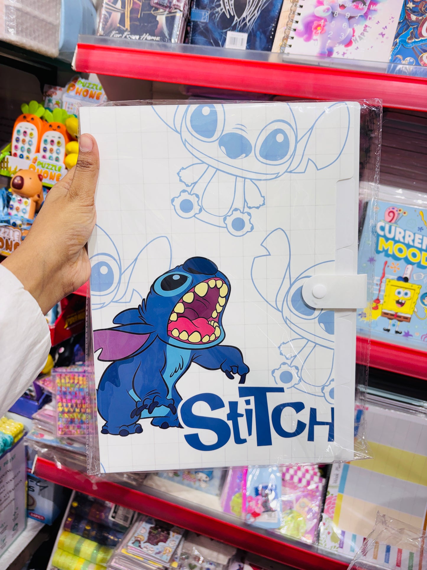 Folder With Multiple Sleeves