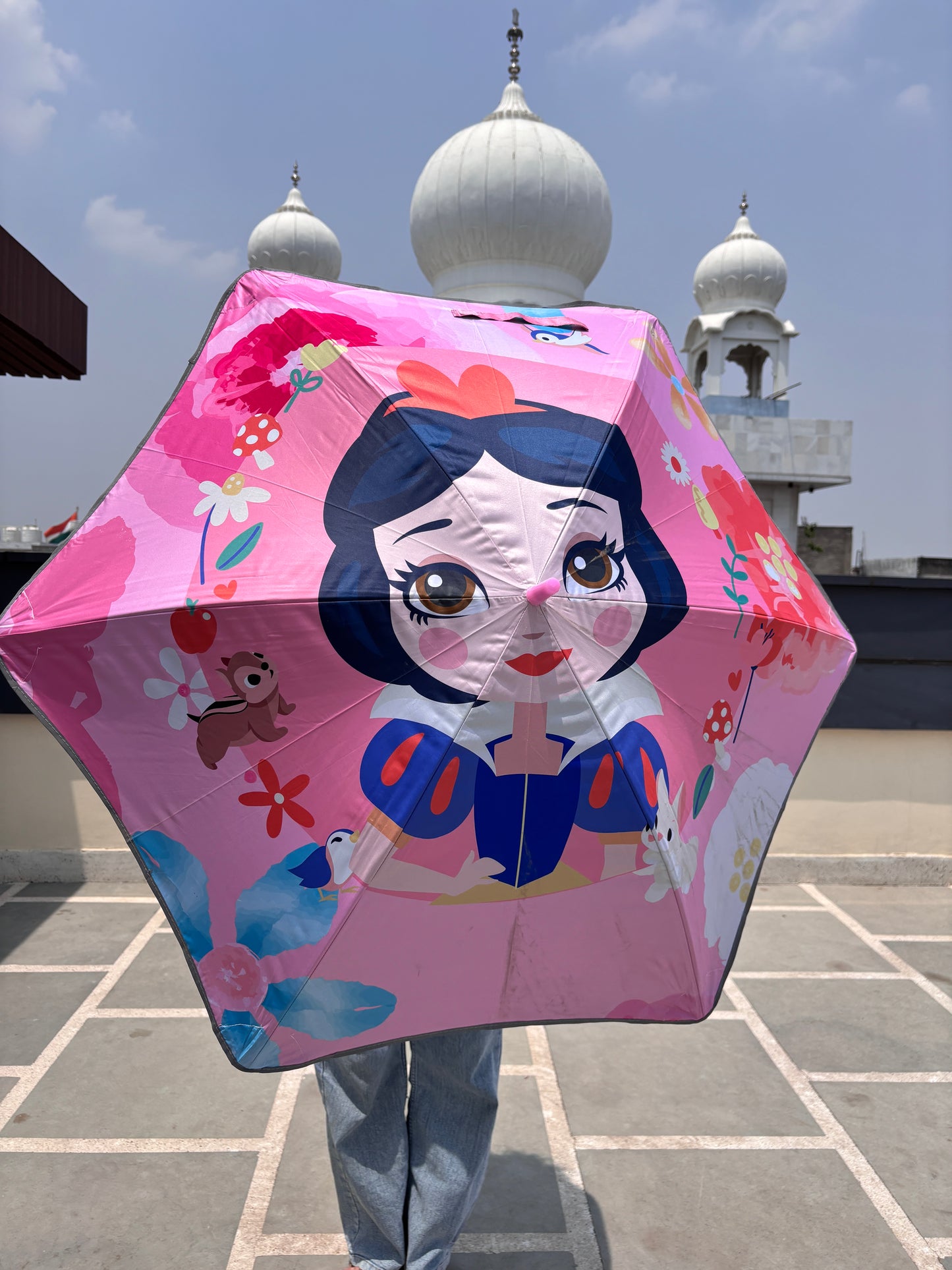 Kids Fun Shield Umbrella