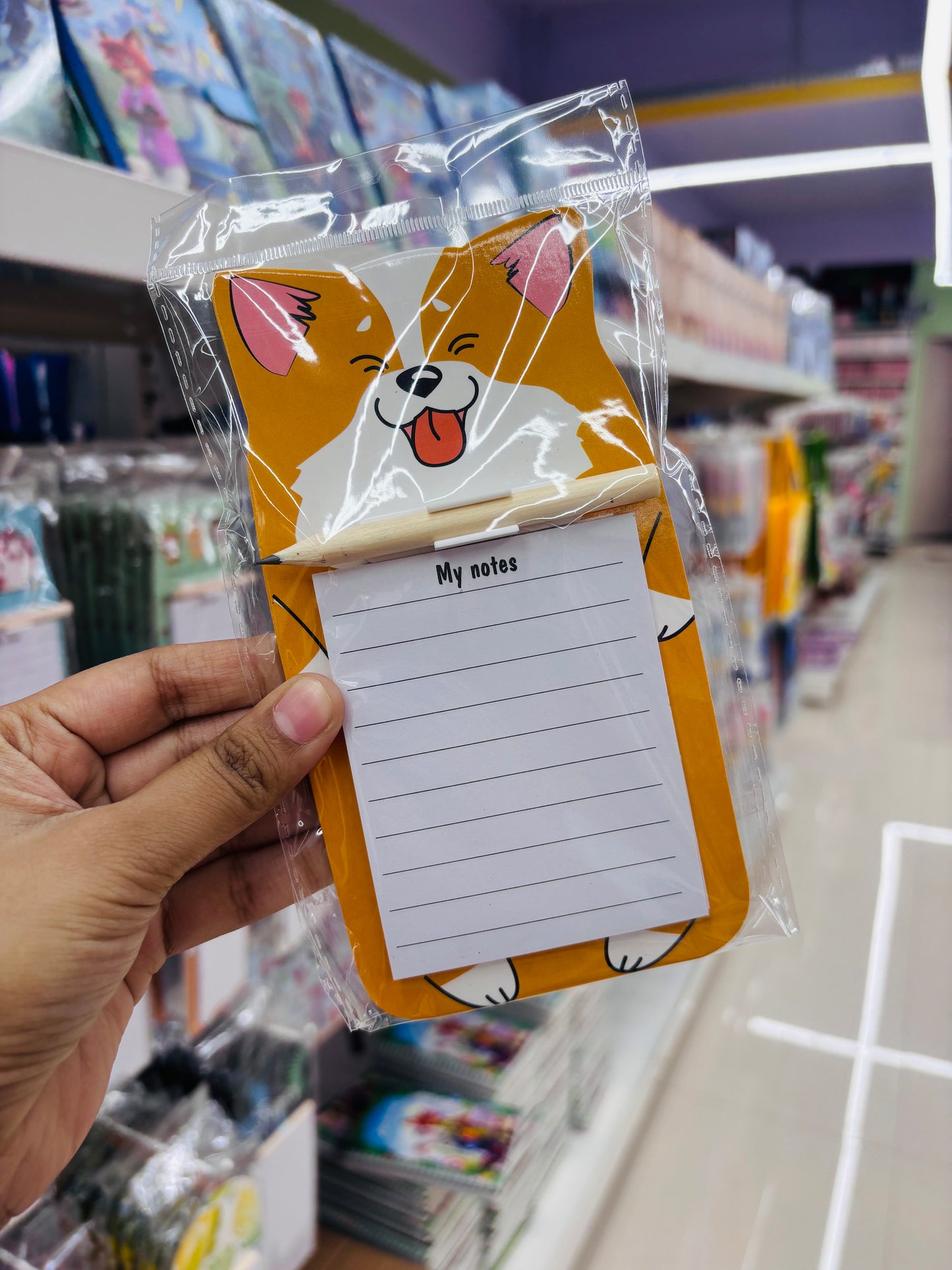 Magnetic Planner