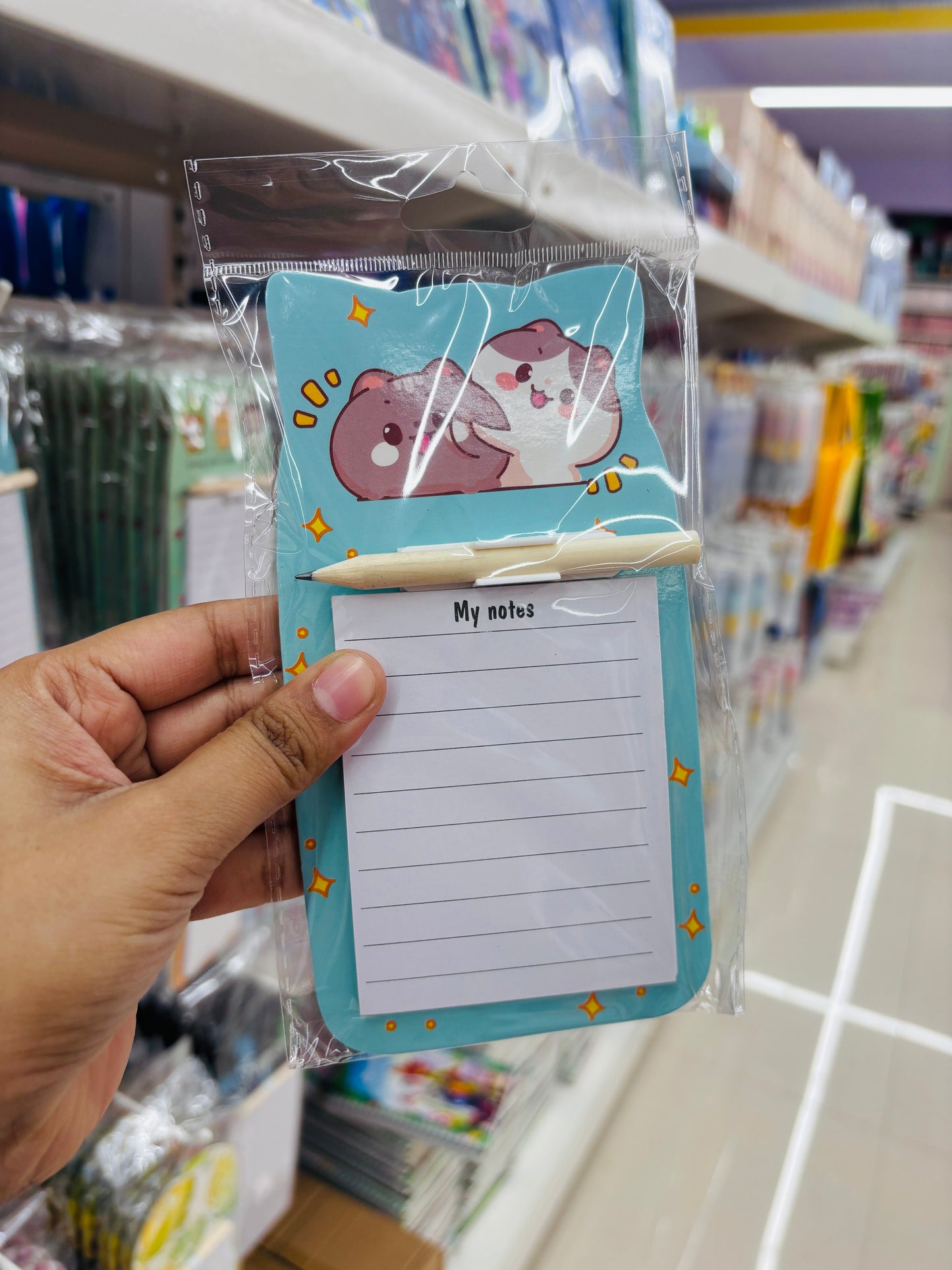 Magnetic Planner