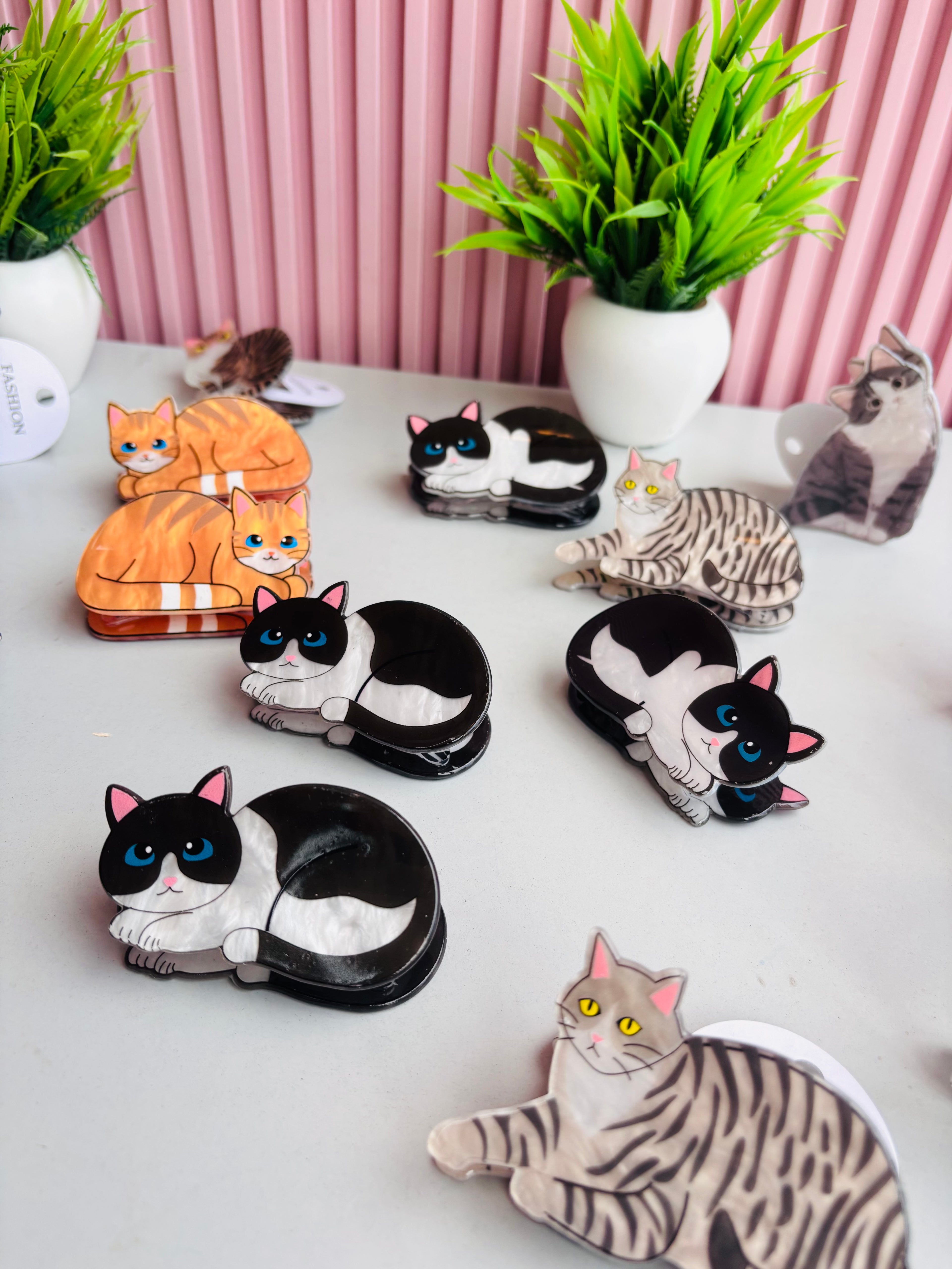 Cat Clutcher