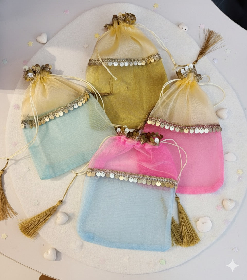 Multicolor Organza Gift Bag