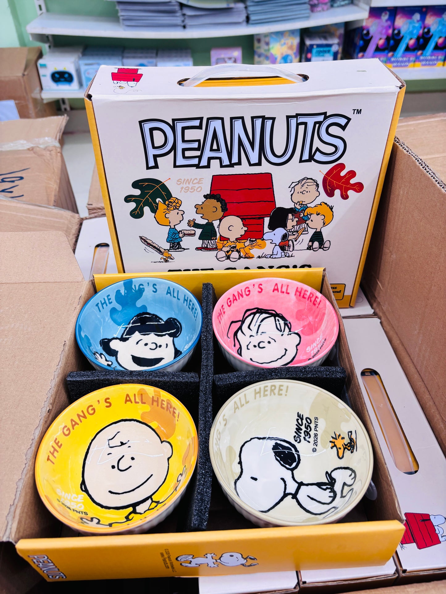 Snoopy Ceramic Bowl Set