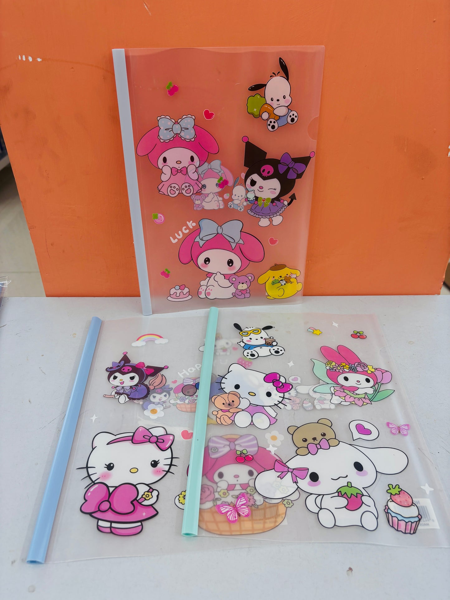 A4 PVC file folder