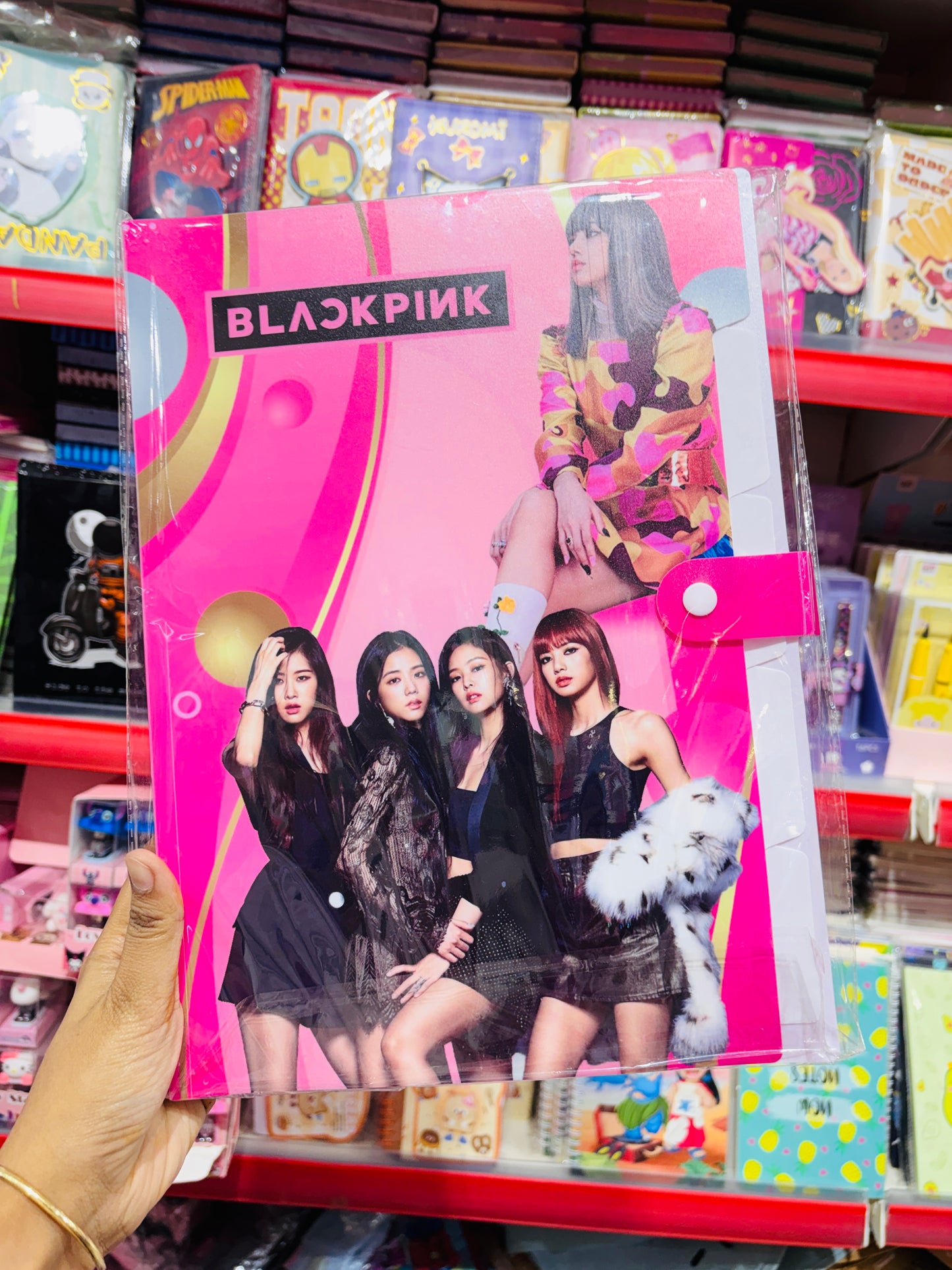 Folder With Multiple Sleeves