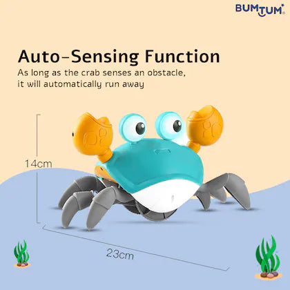 Crawling Crab Baby Toy