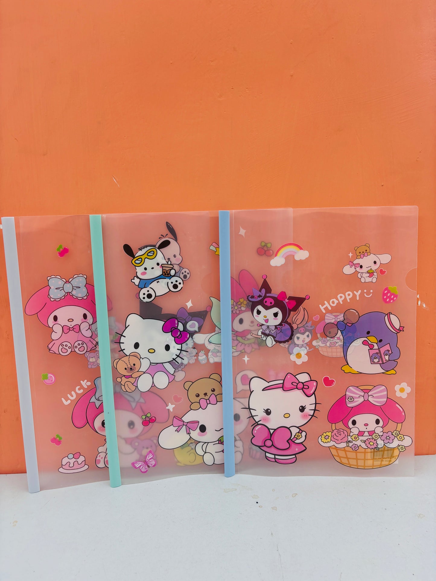 A4 PVC file folder