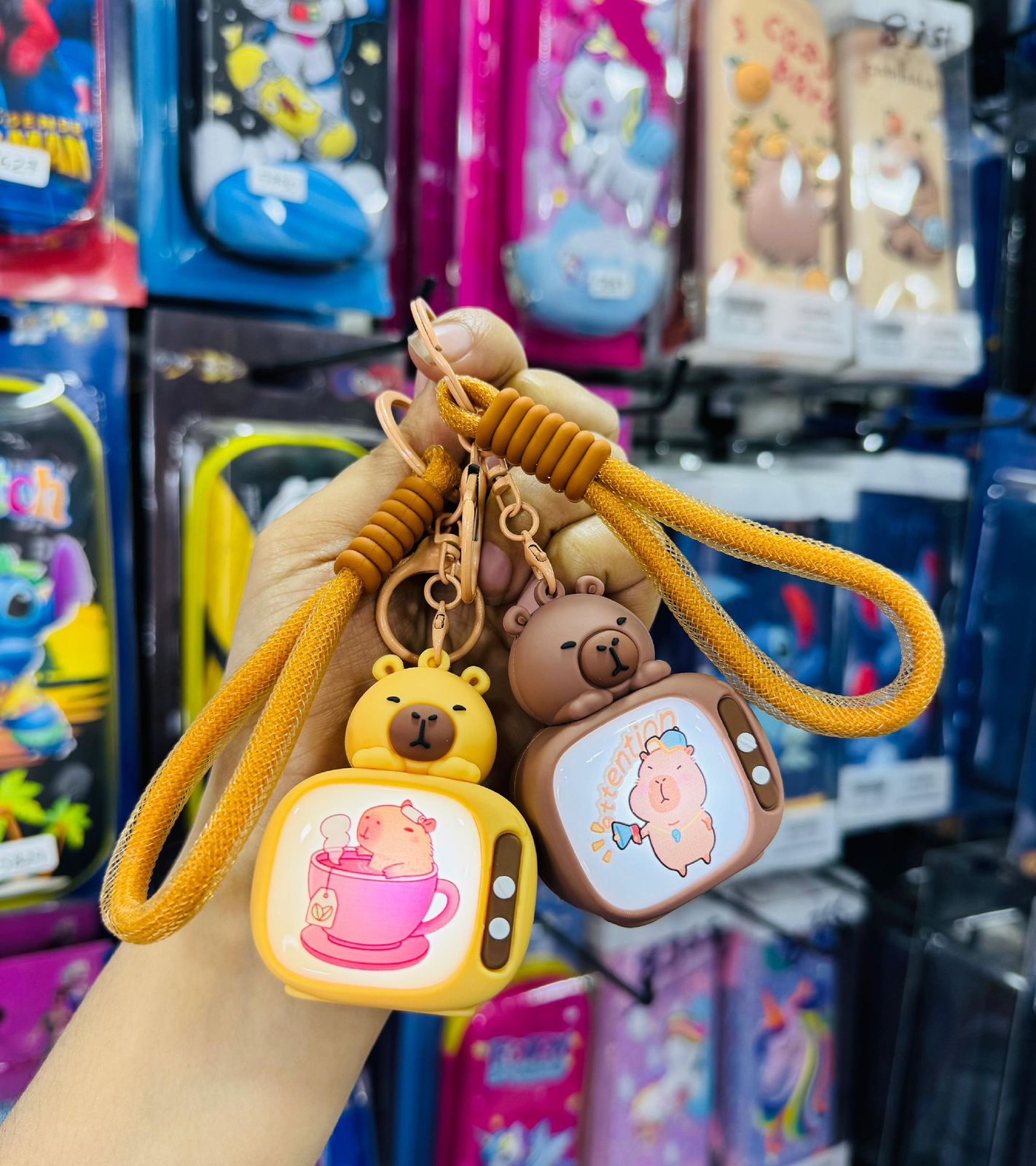 Capybara-Themed TV Keychains